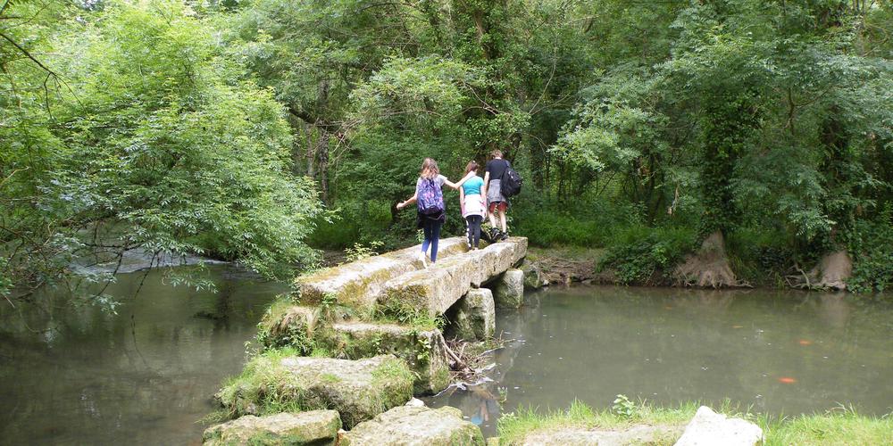 le pont des ânes Clion sur Seugne